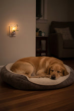 Load image into Gallery viewer, White Golden Retriever Night Light