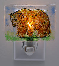 Load image into Gallery viewer, Brown Bear Night Light