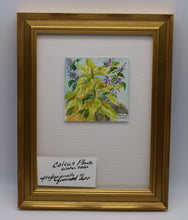 Load image into Gallery viewer, Coleus Plants Watercolor Painting