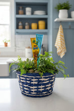 Load image into Gallery viewer, Yellow Chick Plant Stake
