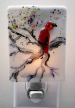 Load image into Gallery viewer, Red Cardinal on Branch in Winter sky Night Light
