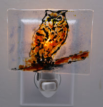 Load image into Gallery viewer, Brown Owl Night Light

