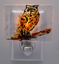 Load image into Gallery viewer, Brown Owl Night Light
