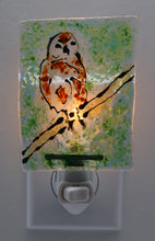 Load image into Gallery viewer, Brown Owl Night Light
