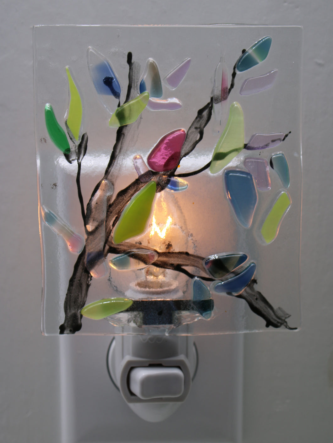 Blue, Pink, Clear and Mixed Flowers on Clear Glass Night Light