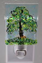 Load image into Gallery viewer, Toomer&#39;s Corner Night Light
