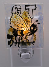 Load image into Gallery viewer, Yellow Jacket Night Light
