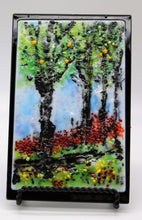 Load image into Gallery viewer, Trees On Path framed with Black Glass
