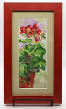 Load image into Gallery viewer, Red Geranium in Pot
